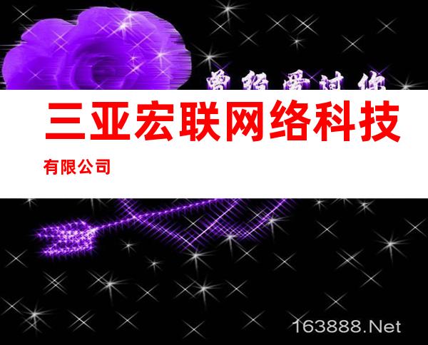三亚宏联网络科技有限公司