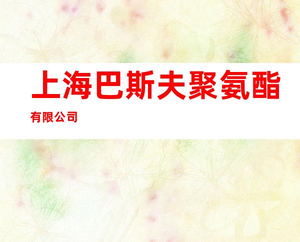 上海巴斯夫聚氨酯有限公司