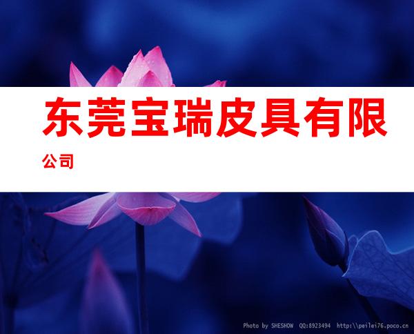 东莞宝瑞皮具有限公司