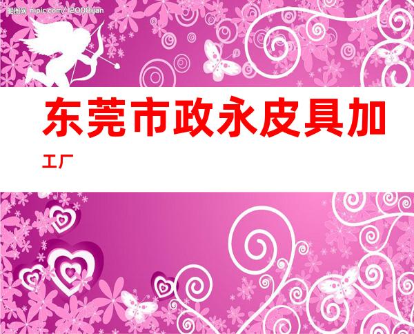 东莞市政永皮具加工厂