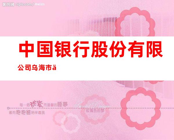 中国银行股份有限公司乌海市人民南路支行