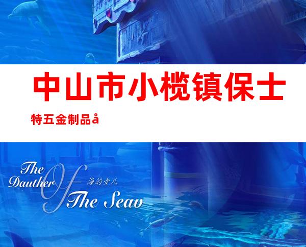 中山市小榄镇保士特五金制品厂