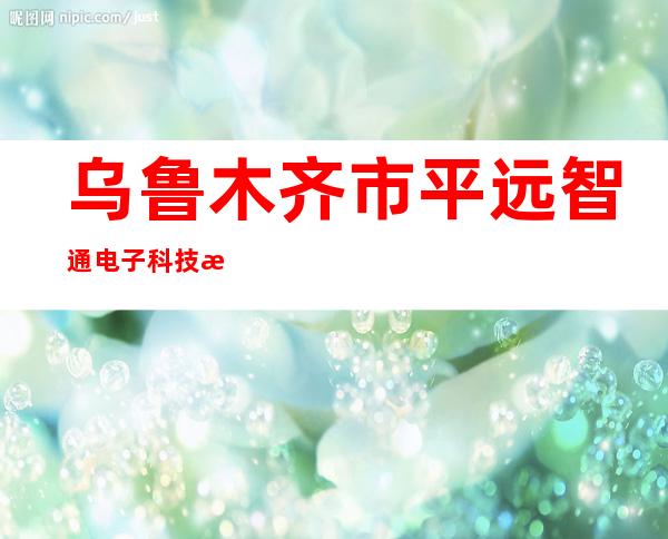 乌鲁木齐市平远智通电子科技有限公司