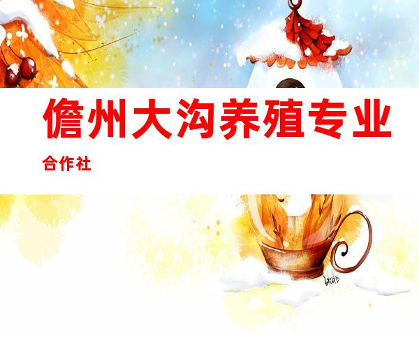 儋州大沟养殖专业合作社