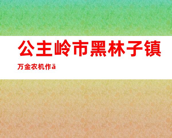 公主岭市黑林子镇万金农机作业服务农民专业合作社