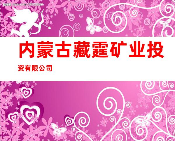 内蒙古藏霆矿业投资有限公司