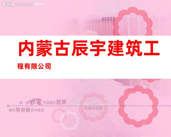 内蒙古辰宇建筑工程有限公司
