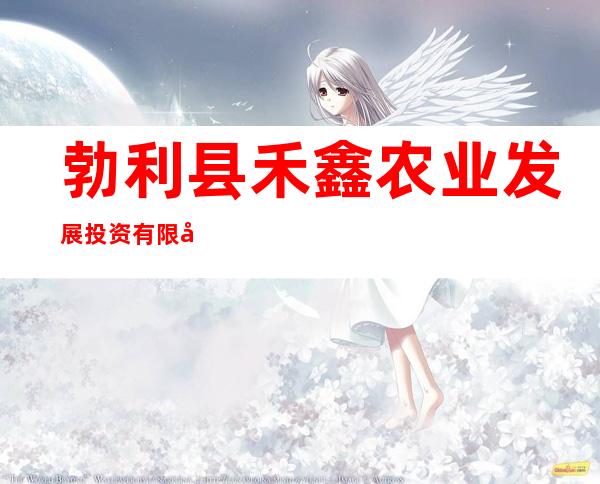 勃利县禾鑫农业发展投资有限公司抢垦分公司