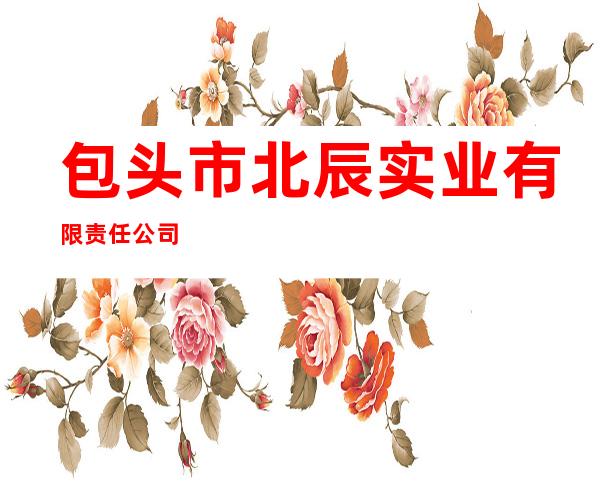包头市北辰实业有限责任公司
