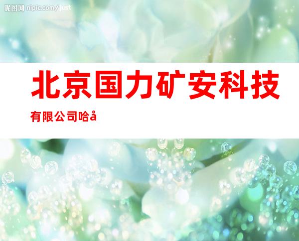 北京国力矿安科技有限公司哈尔滨分公司