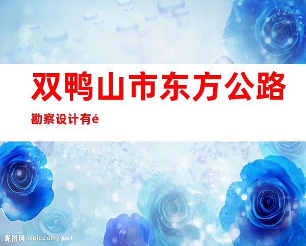 双鸭山市东方公路勘察设计有限公司