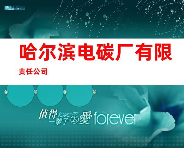 哈尔滨电碳厂有限责任公司