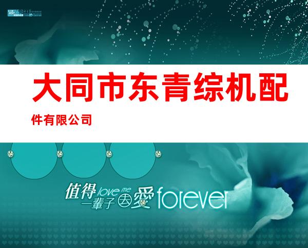 大同市东青综机配件有限公司