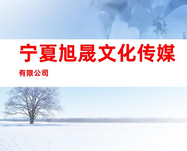 宁夏旭晟文化传媒有限公司