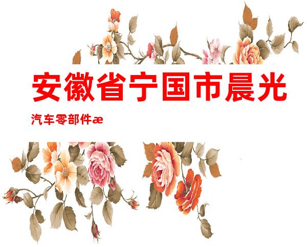 安徽省宁国市晨光汽车零部件有限公司