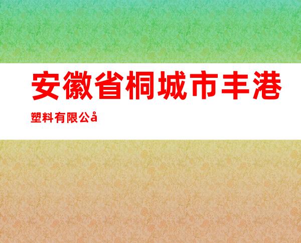 安徽省桐城市丰港塑料有限公司