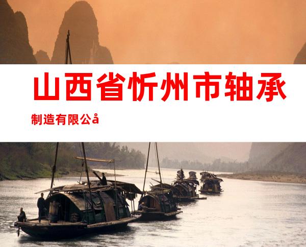 山西省忻州市轴承制造有限公司
