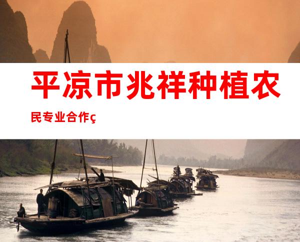 平凉市兆祥种植农民专业合作社