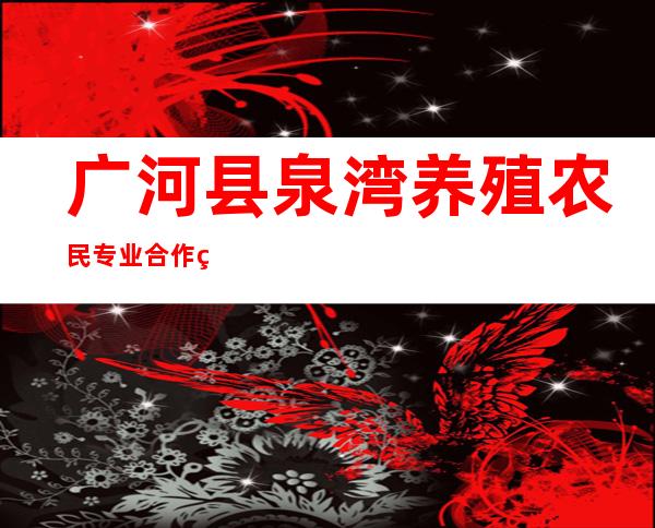广河县泉湾养殖农民专业合作社