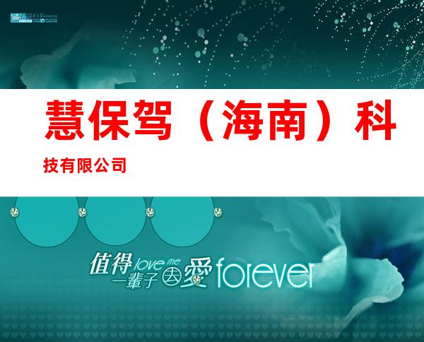 慧保驾(海南)科技有限公司