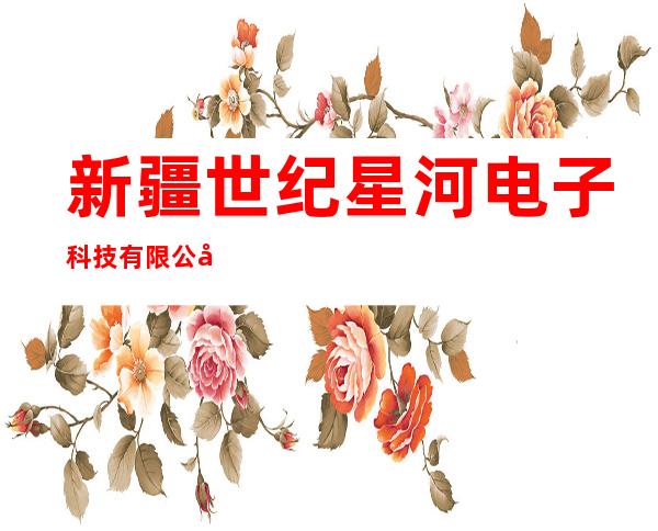 新疆世纪星河电子科技有限公司