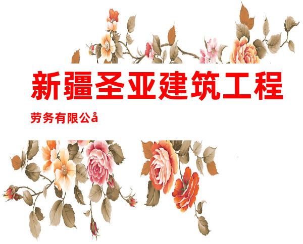 新疆圣亚建筑工程劳务有限公司