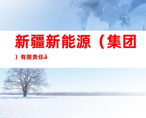 新疆新能源（集团）有限责任公司
