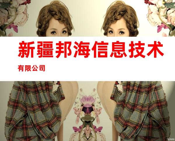 新疆邦海信息技术有限公司