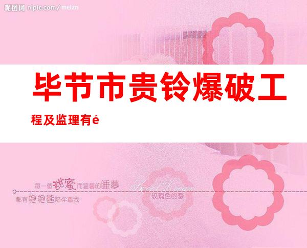 毕节市贵铃爆破工程及监理有限公司