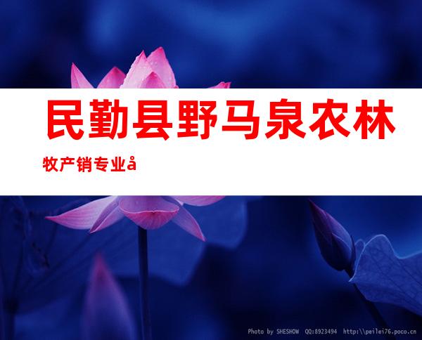 民勤县野马泉农林牧产销专业合作社