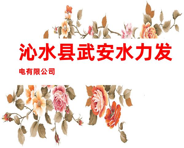 沁水县武安水力发电有限公司