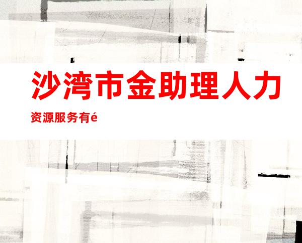 沙湾市金助理人力资源服务有限公司