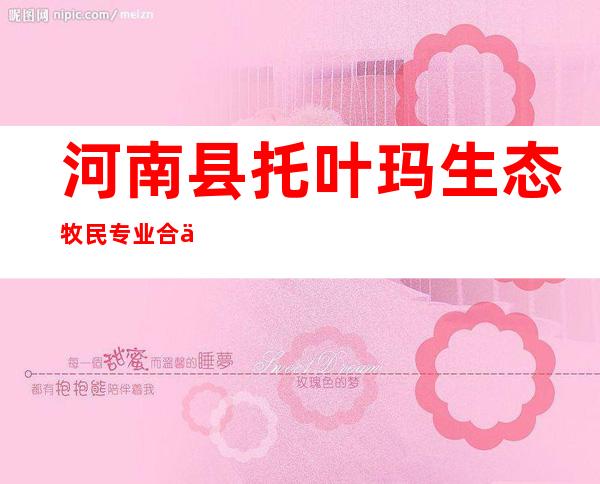 河南县托叶玛生态牧民专业合作社