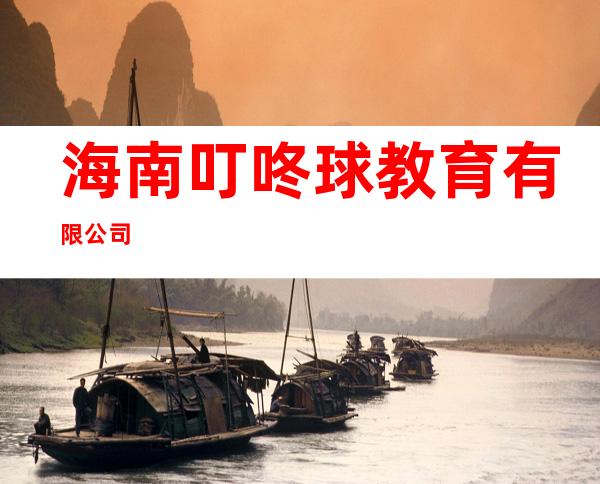海南叮咚球教育有限公司