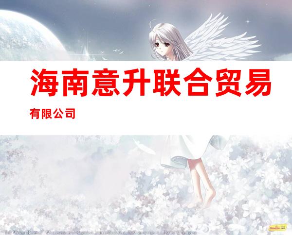 海南意升联合贸易有限公司