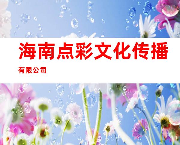 海南点彩文化传播有限公司