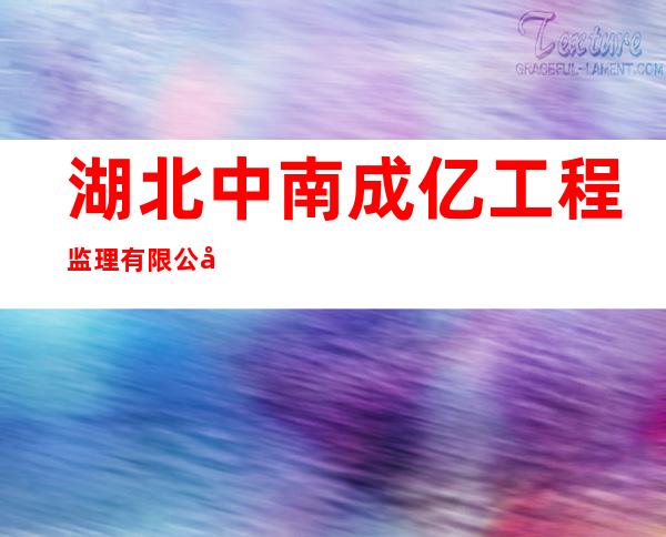 湖北中南成亿工程监理有限公司海南分公司