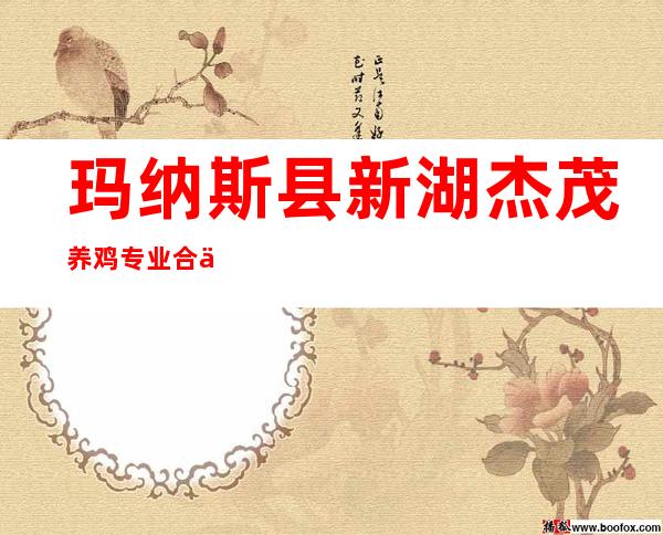 玛纳斯县新湖杰茂养鸡专业合作社