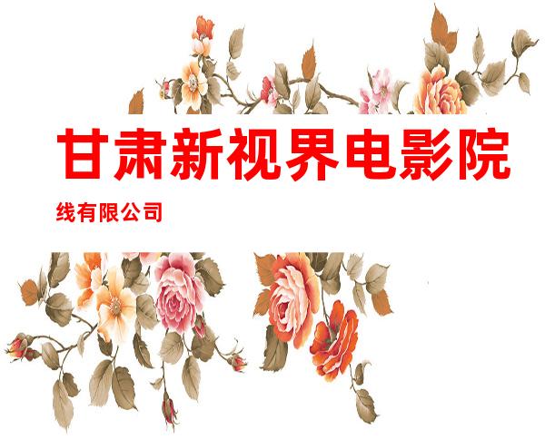 甘肃新视界电影院线有限公司