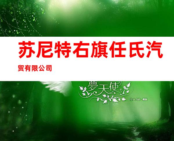 苏尼特右旗任氏汽贸有限公司