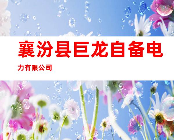 襄汾县巨龙自备电力有限公司
