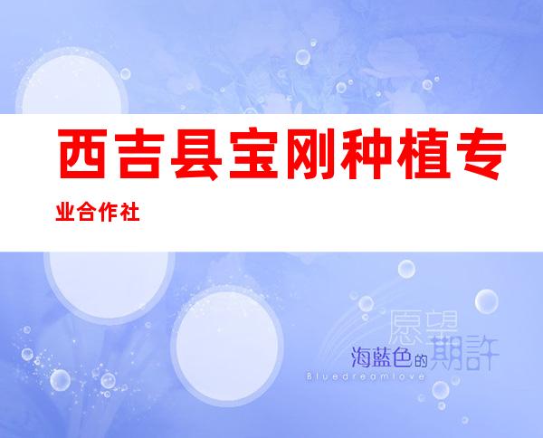 西吉县宝刚种植专业合作社
