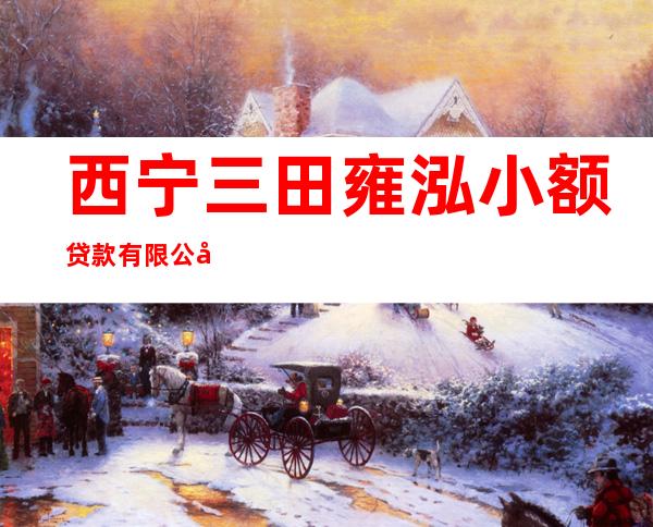 西宁三田雍泓小额贷款有限公司