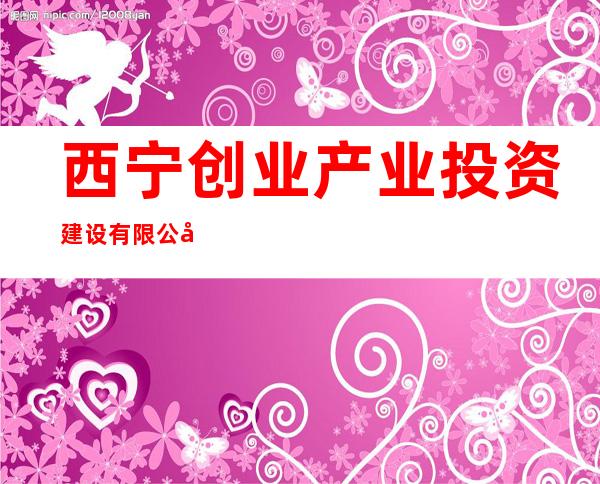 西宁创业产业投资建设有限公司