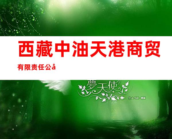西藏中油天港商贸有限责任公司机场高速路加油站