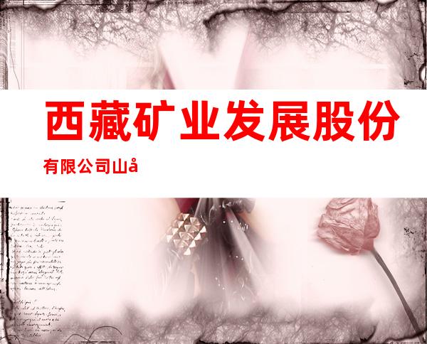 西藏矿业发展股份有限公司山南分公司