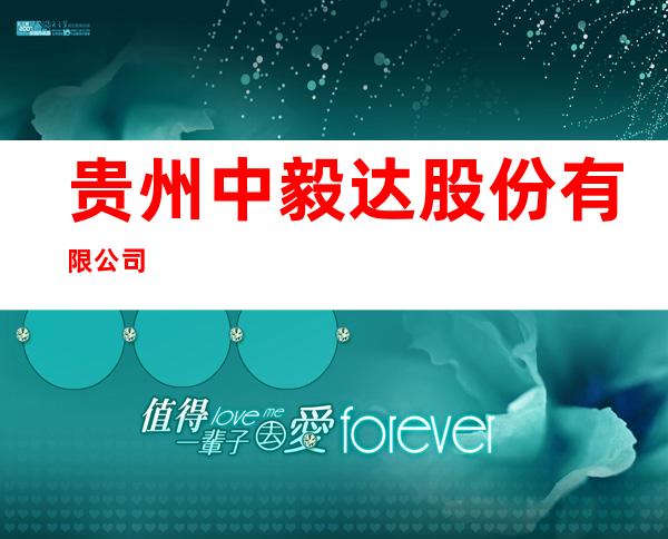 贵州中毅达股份有限公司