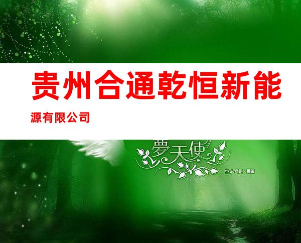 贵州合通乾恒新能源有限公司
