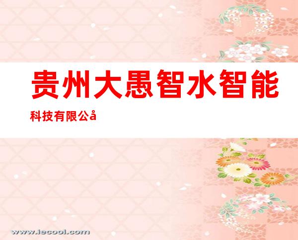 贵州大愚智水智能科技有限公司