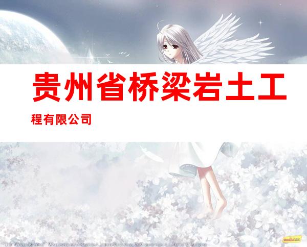 贵州省桥梁岩土工程有限公司